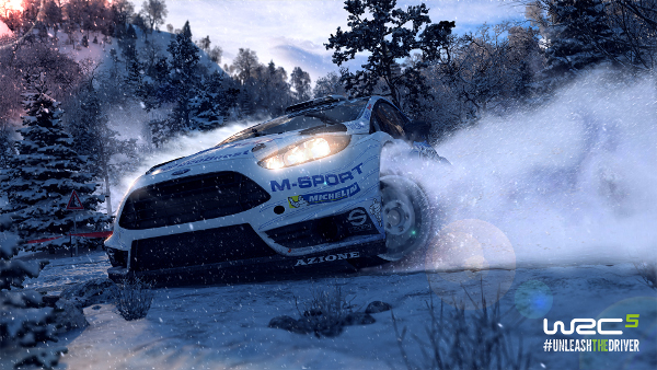 WRC5-Ford_Fiesta_Snow_HD
